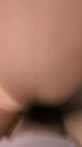 我的极品情人