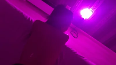 回国约操大连连裤袜骚1
