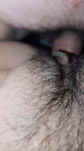 进出蝴蝶逼