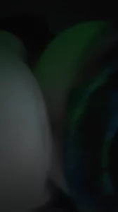 大白屁股
