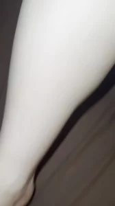 干独居微胖的女上司