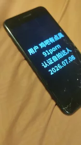 [原创]和炮友一起验证自拍达人