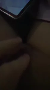 预告  小狗一只